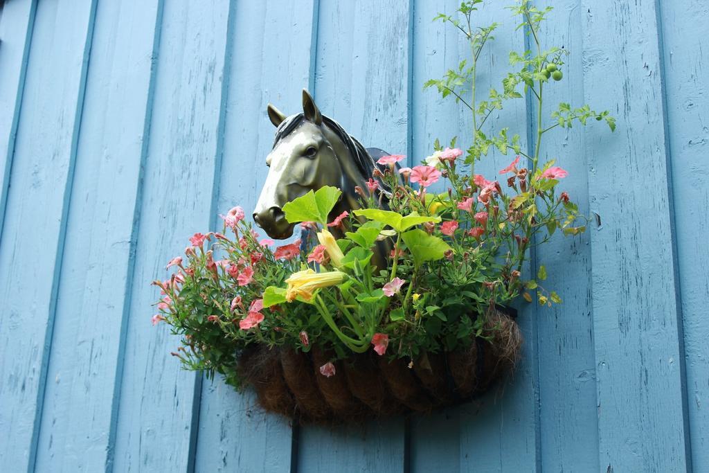 Auberge Le Cheval Bleu Saint-Alphonse-Rodriguez Εξωτερικό φωτογραφία